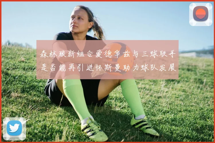 森林狼新组合爱德华兹与三球联手是否能再引进怀斯曼助力球队发展